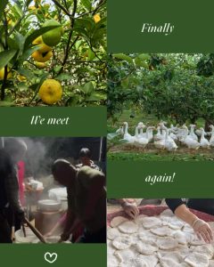 “朝拜”經樓的別樣畫卷